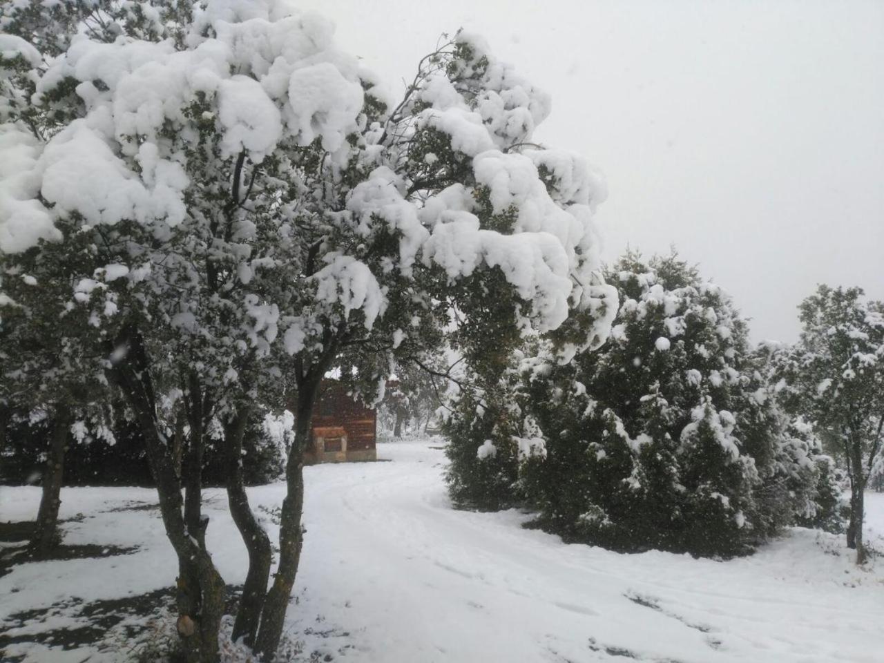 Camping Casa Fausto Cerca De Dinopolis Formiche Alto ภายนอก รูปภาพ